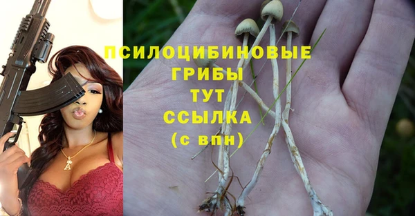 стаф Струнино