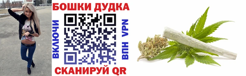 наркотики  Отрадное  Конопля конопля 